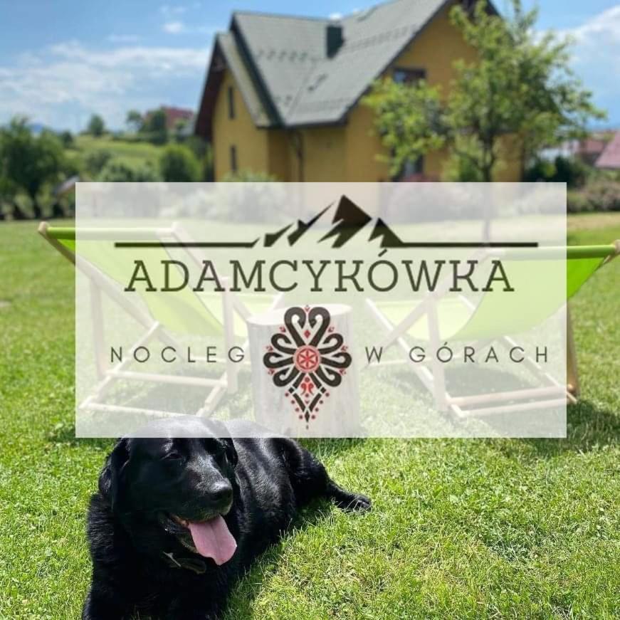 Apartamenty Adamcykowka Blisko Velo Czorsztyn! Kluszkowce Εξωτερικό φωτογραφία